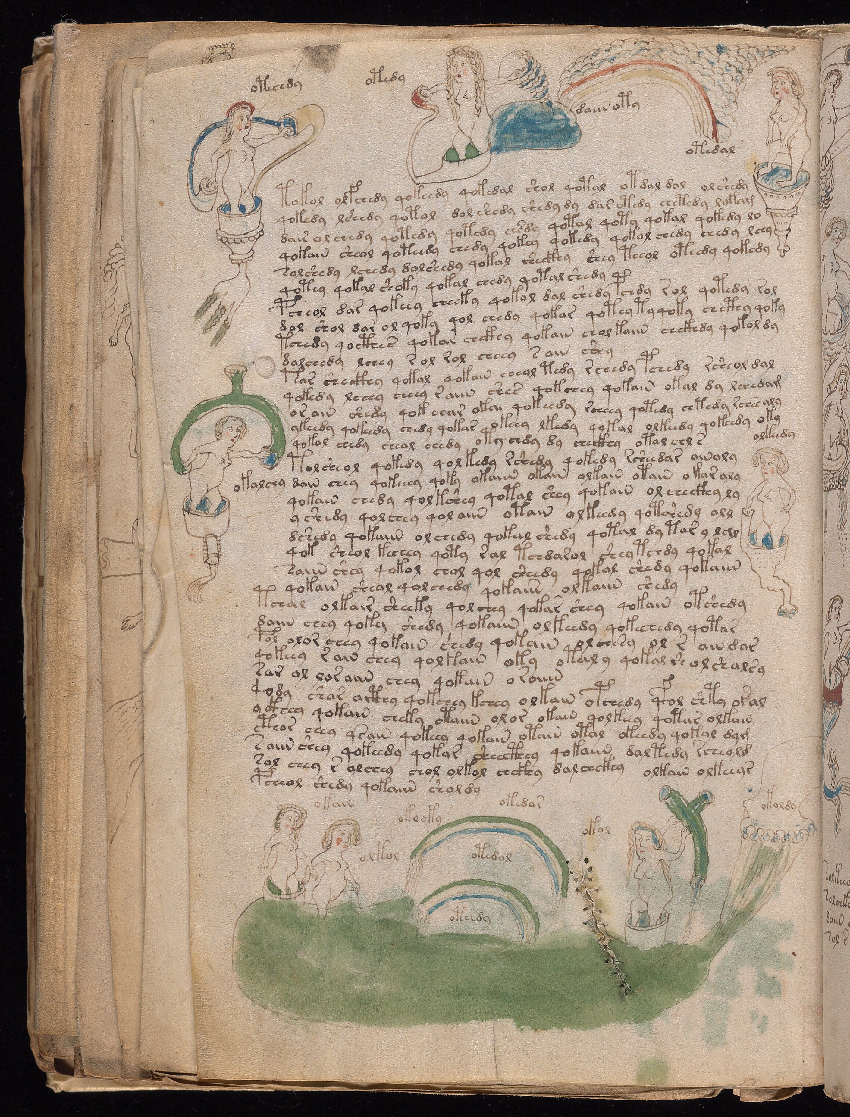 Folio f82v