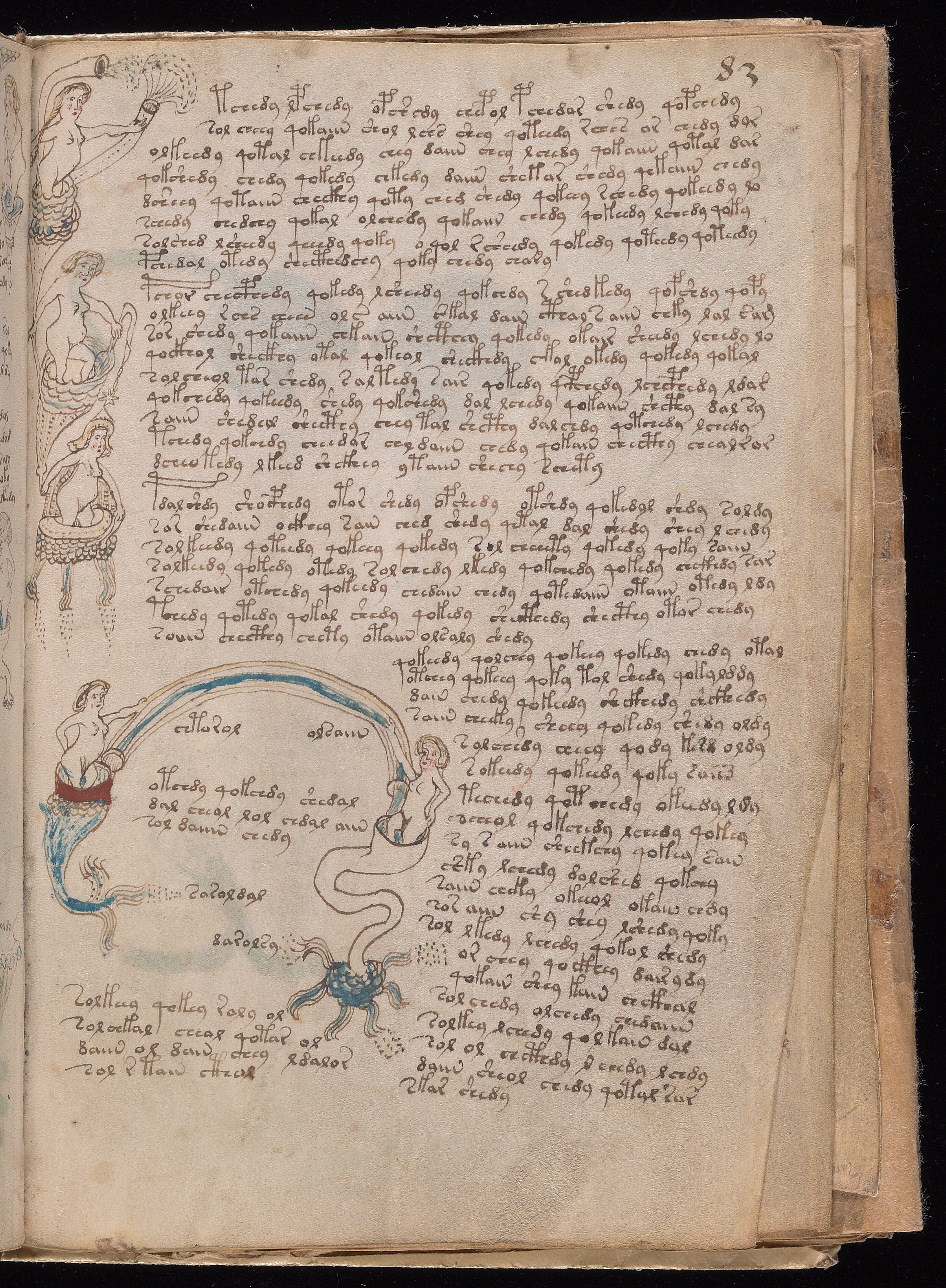 Folio f83r