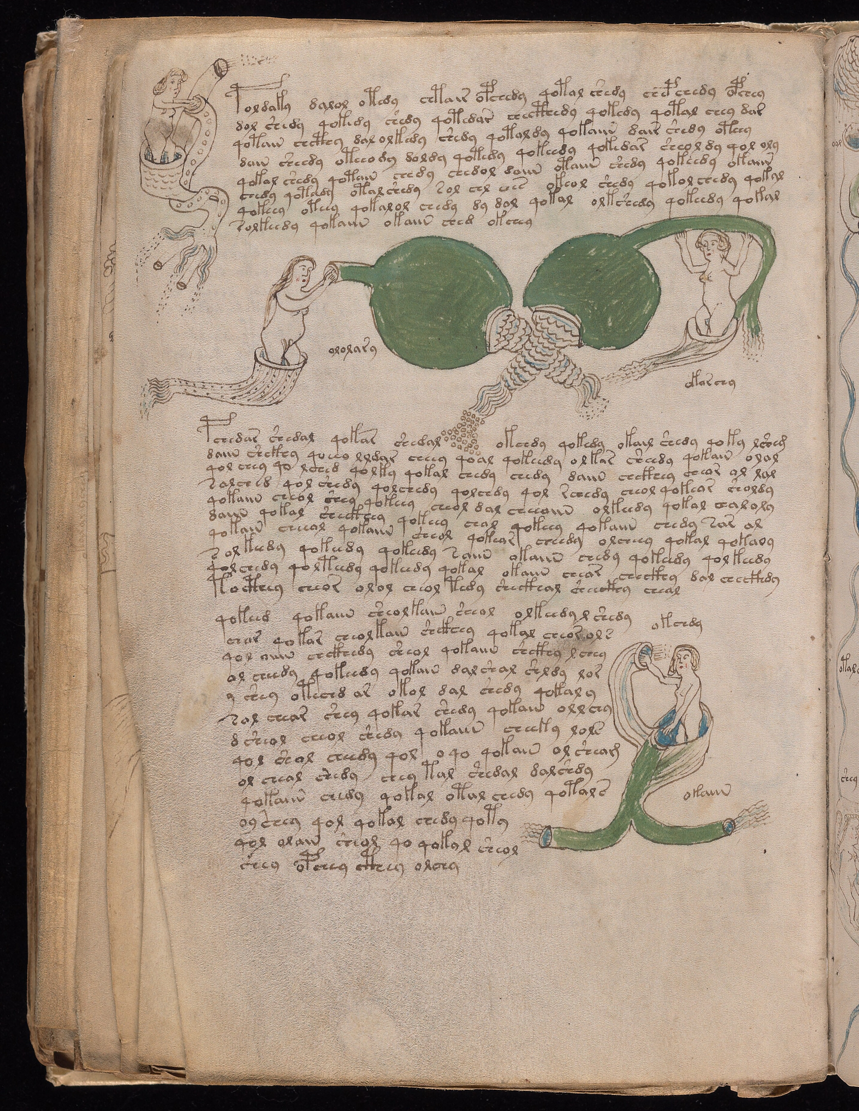 Folio f83v