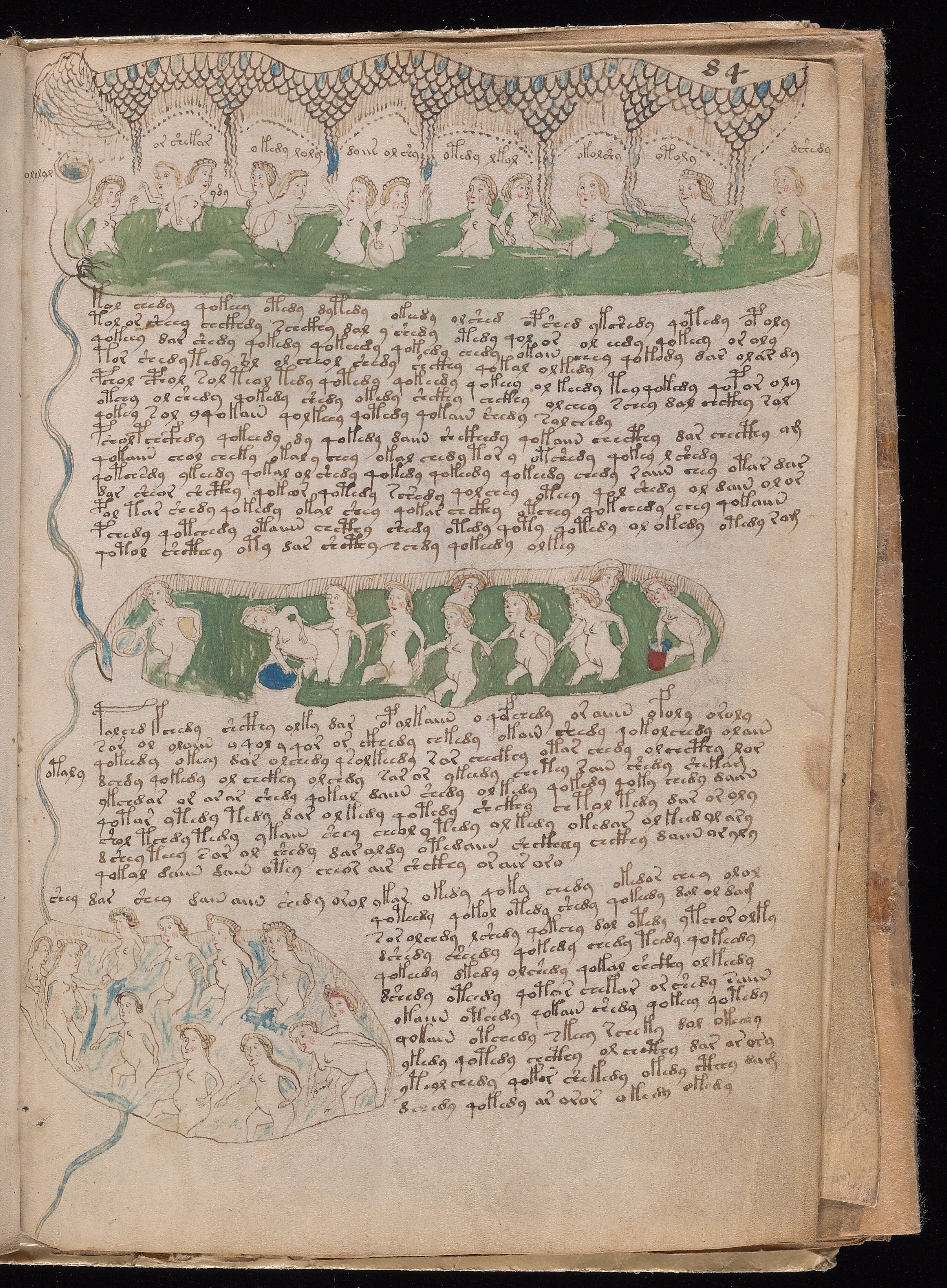 Folio f84r