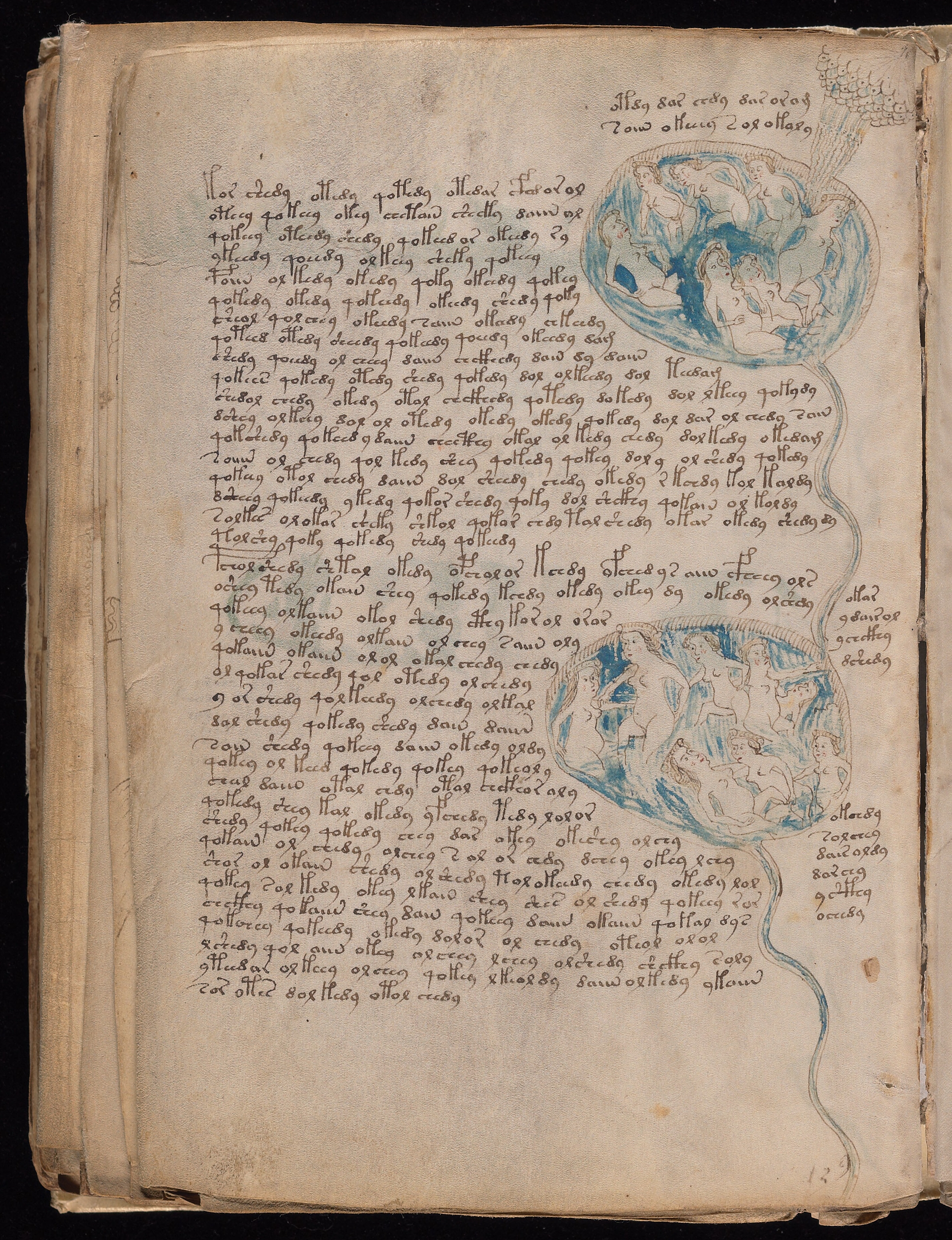Folio f84v