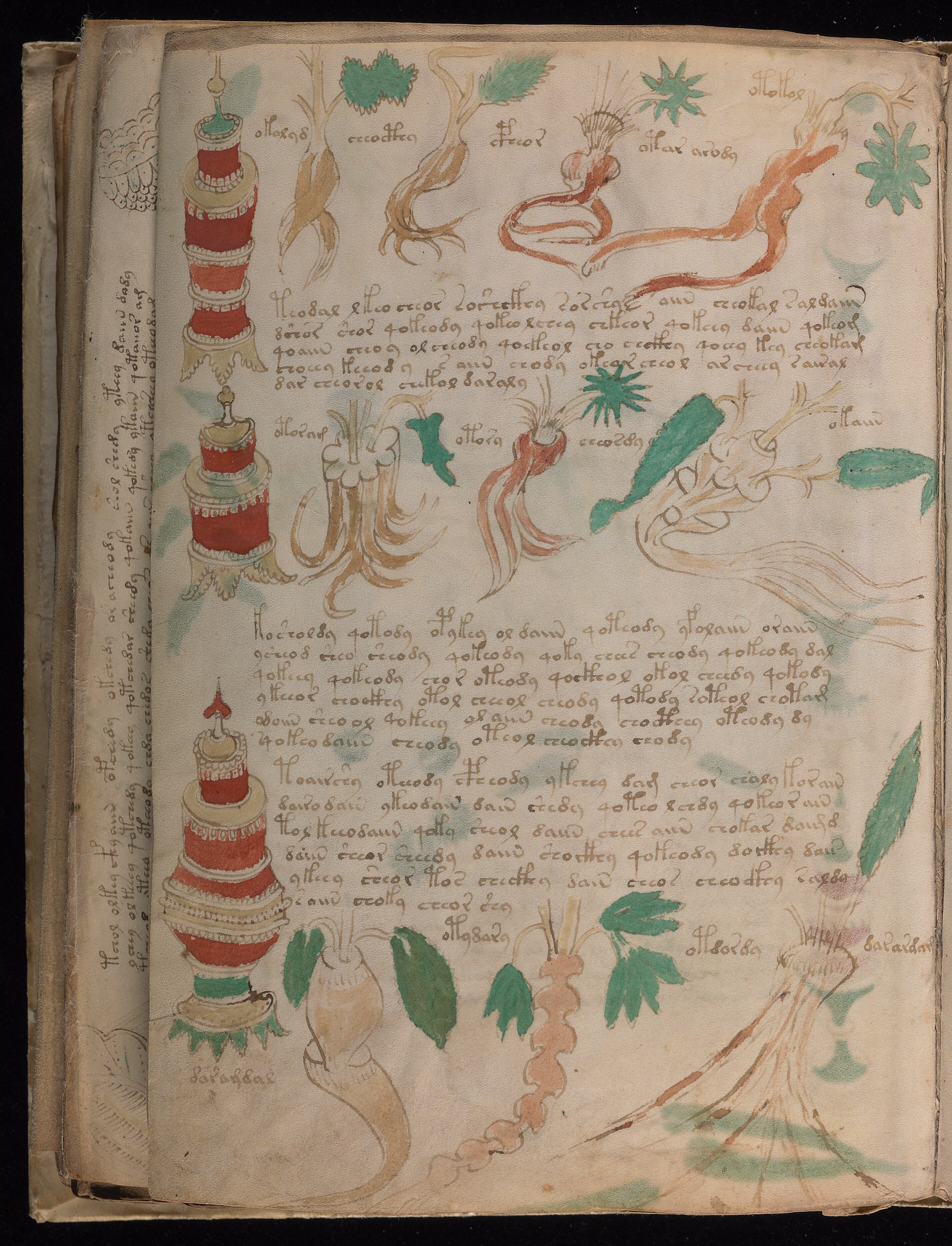 Folio f88v