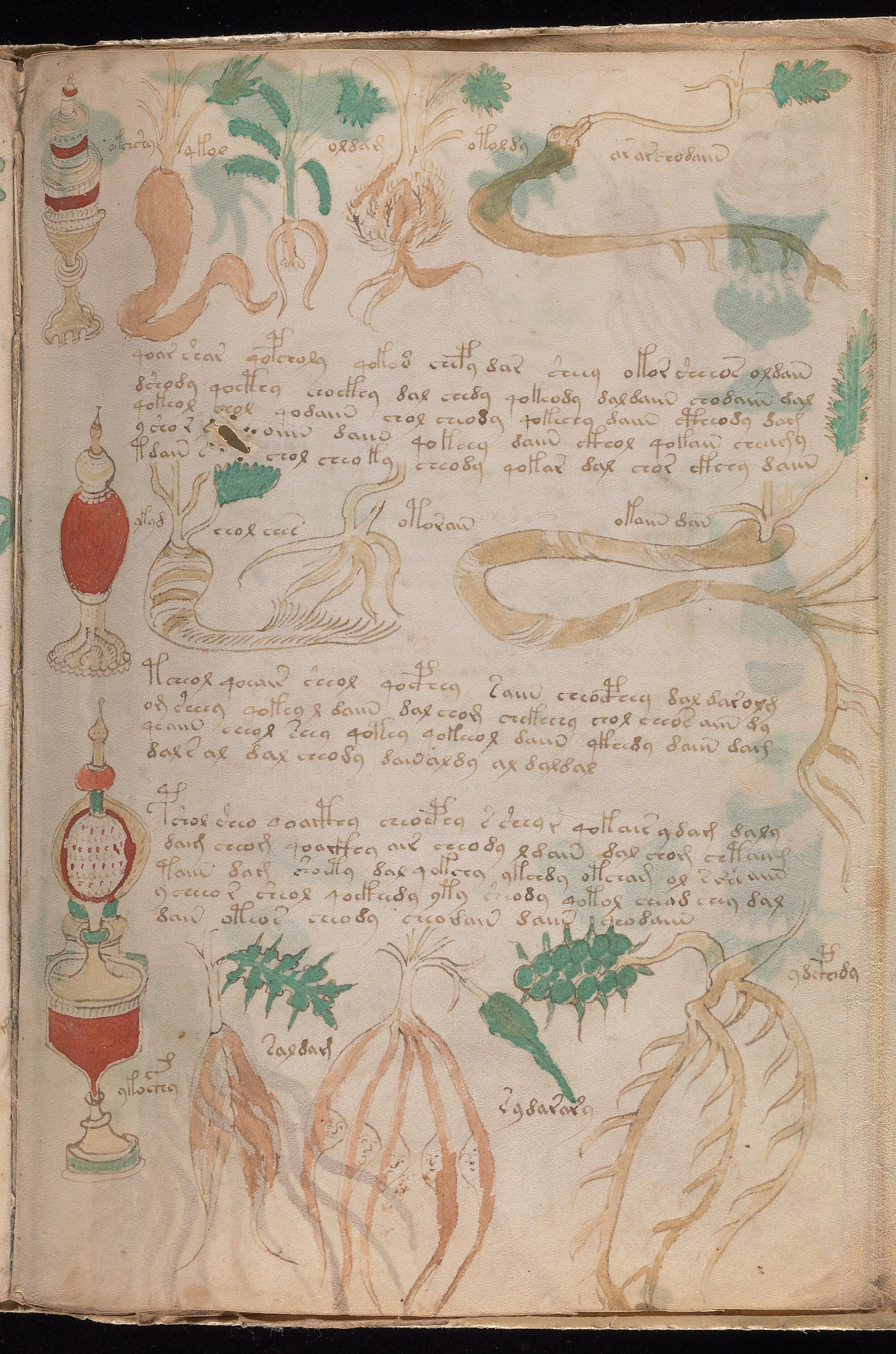 Folio f89r1