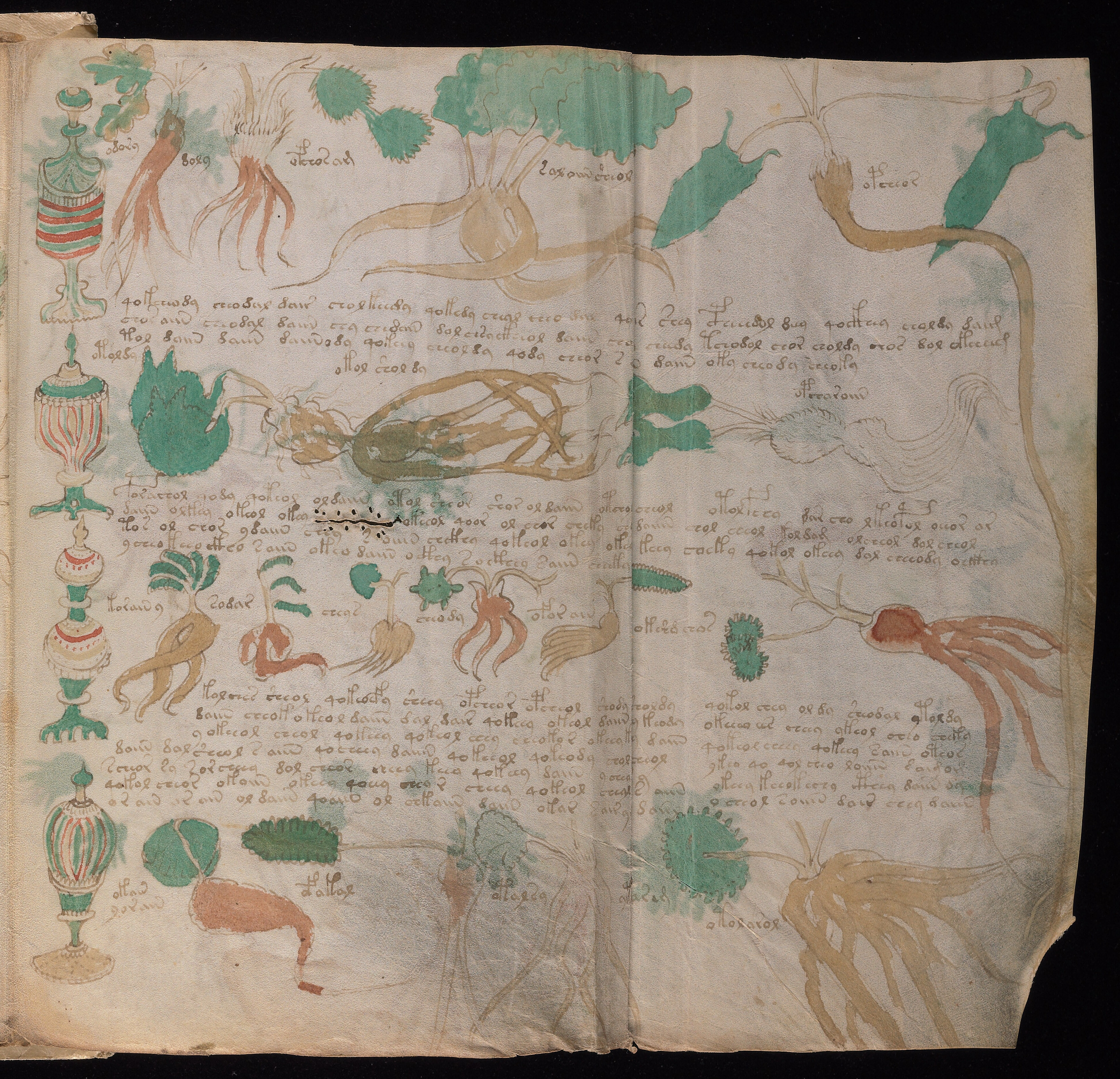 Folio f89r2