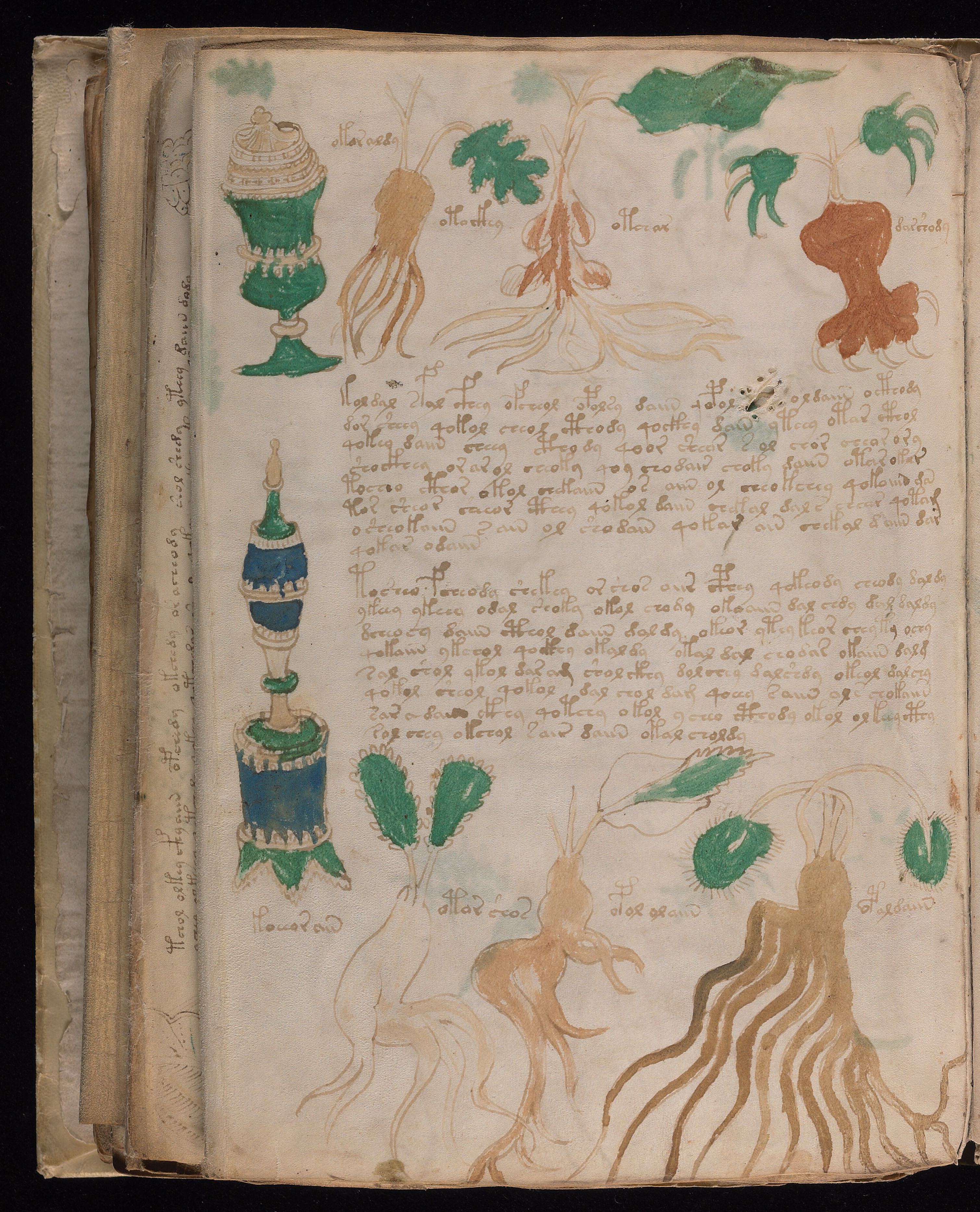 Folio f89v1