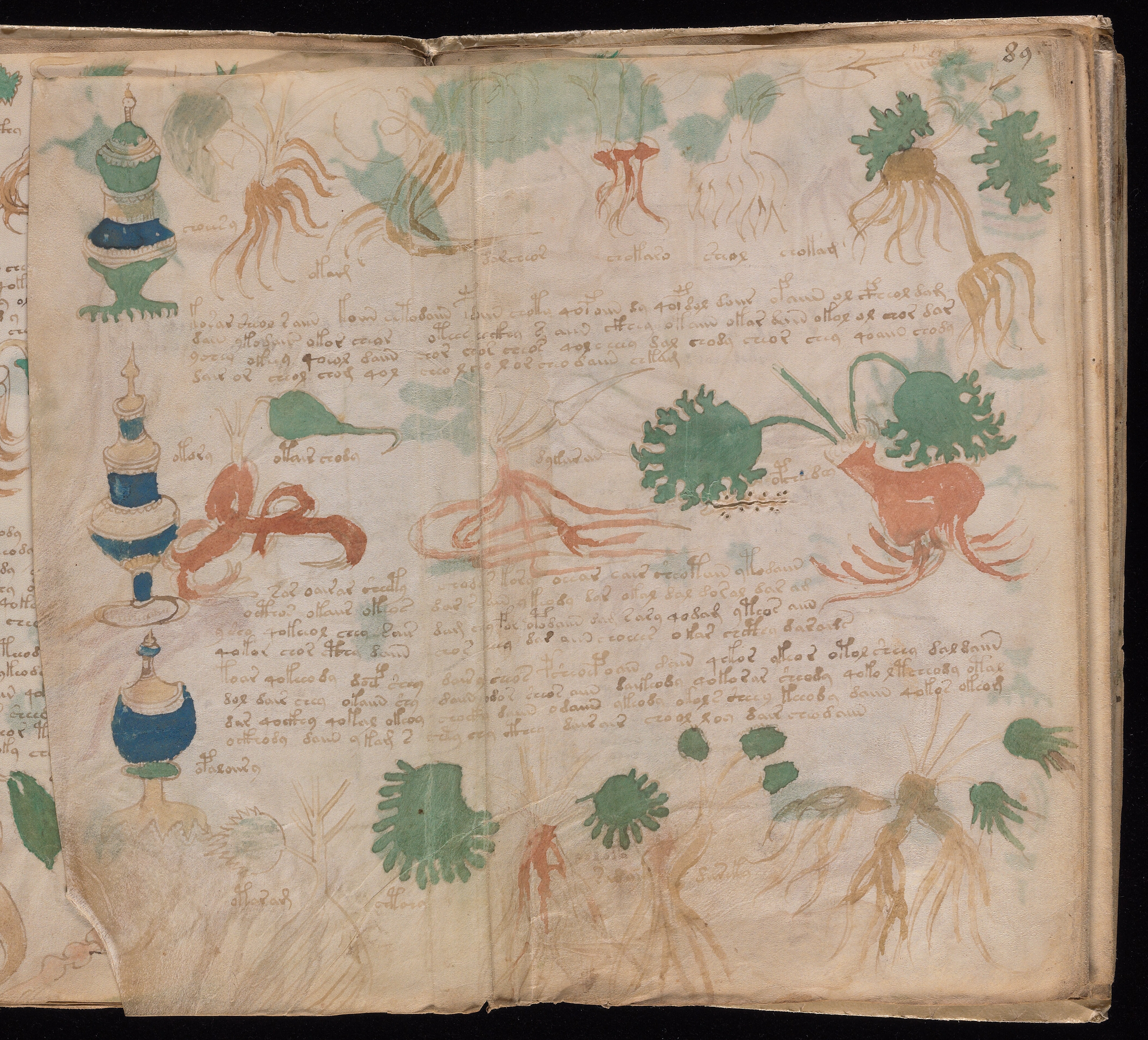 Folio f89v2