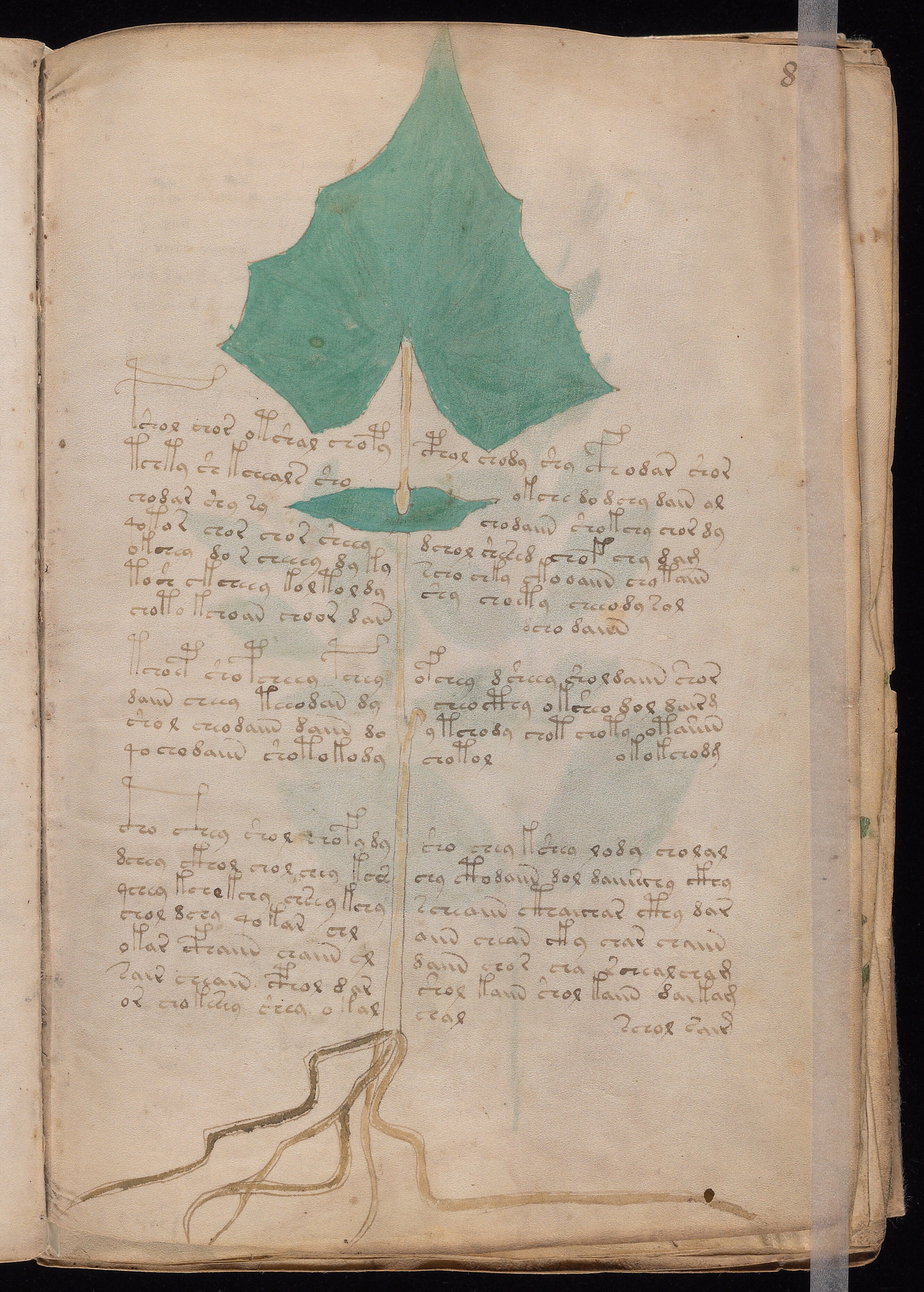Folio f8r