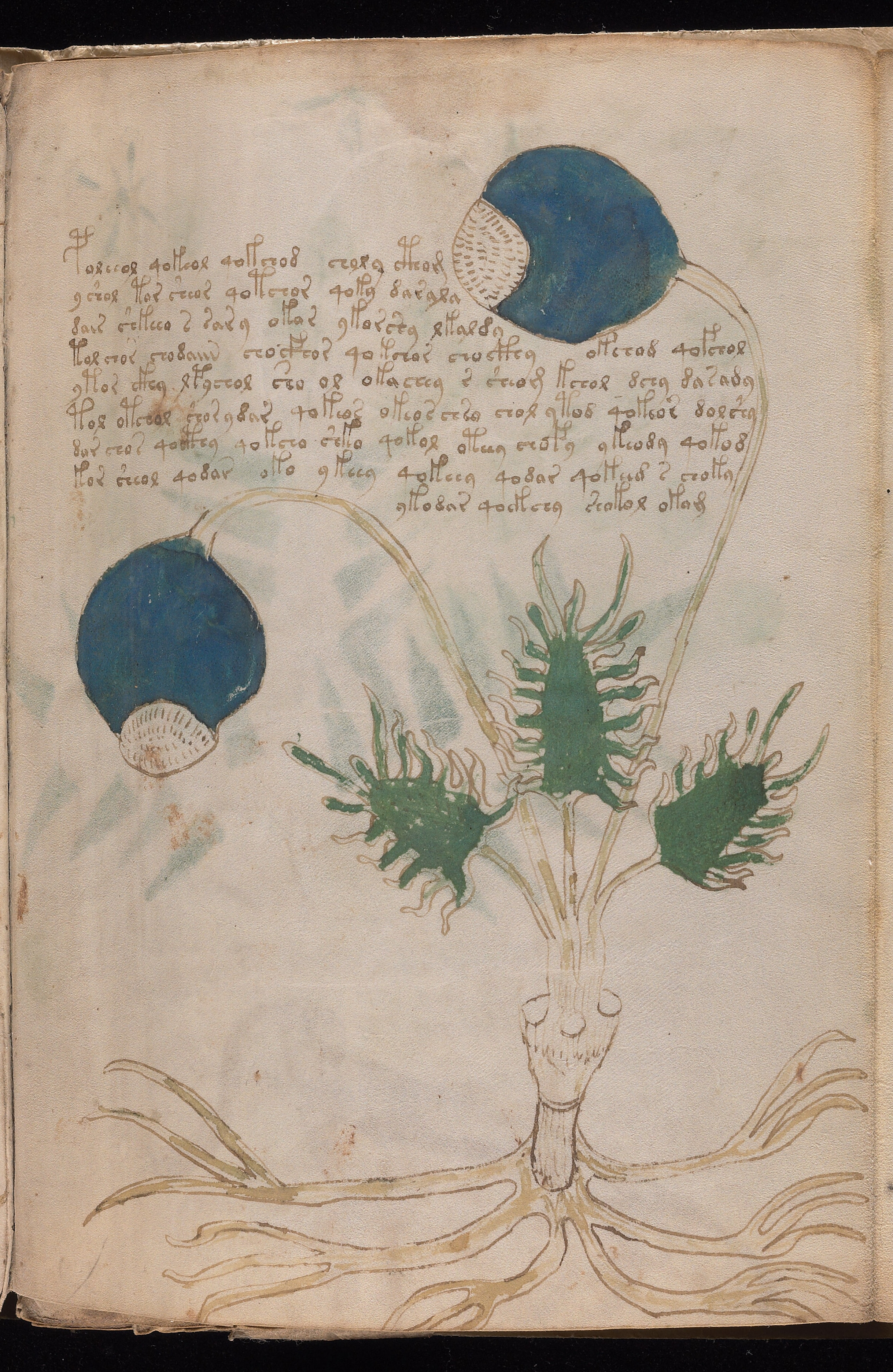 Folio f90r1