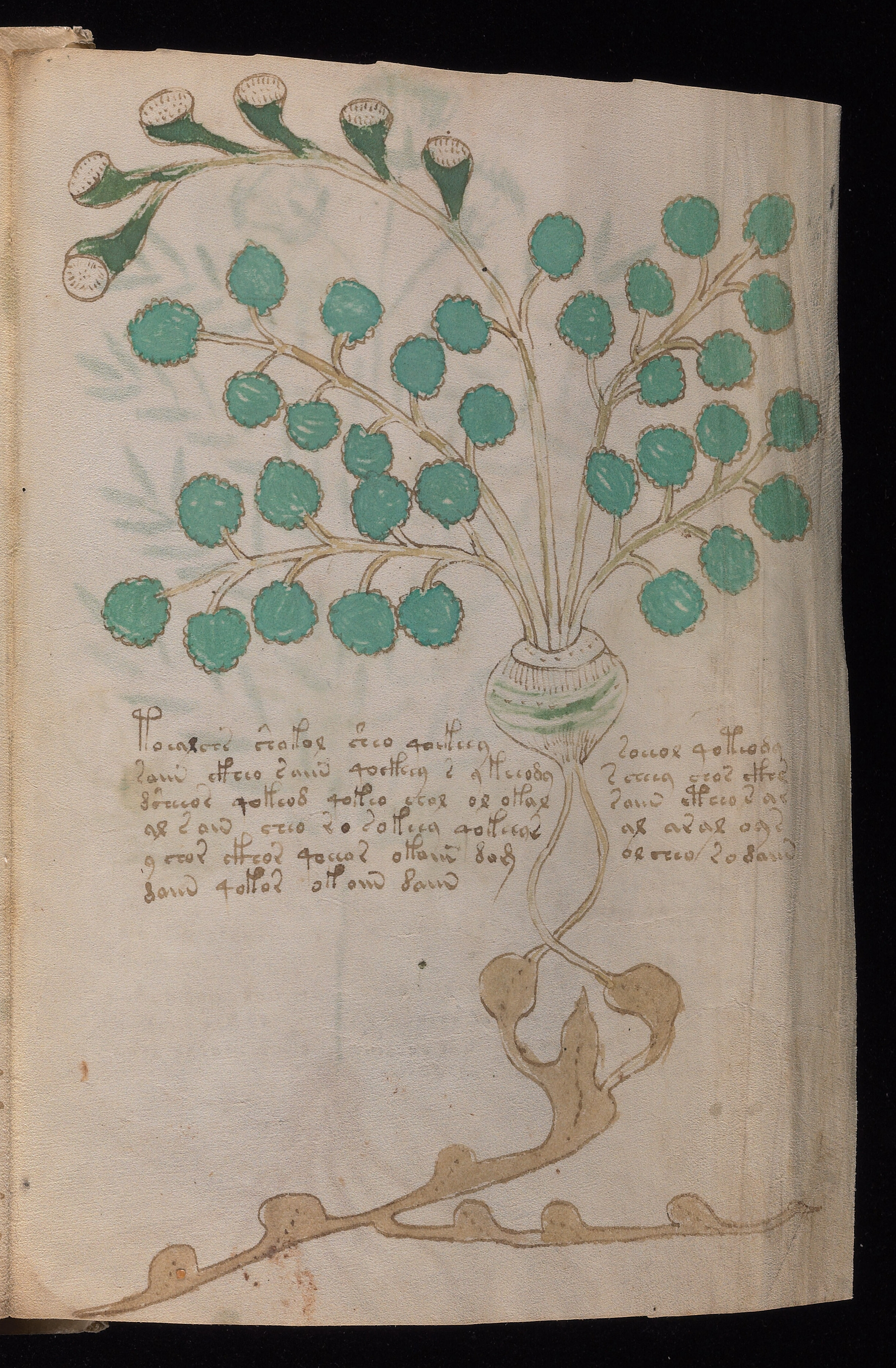 Folio f90r2