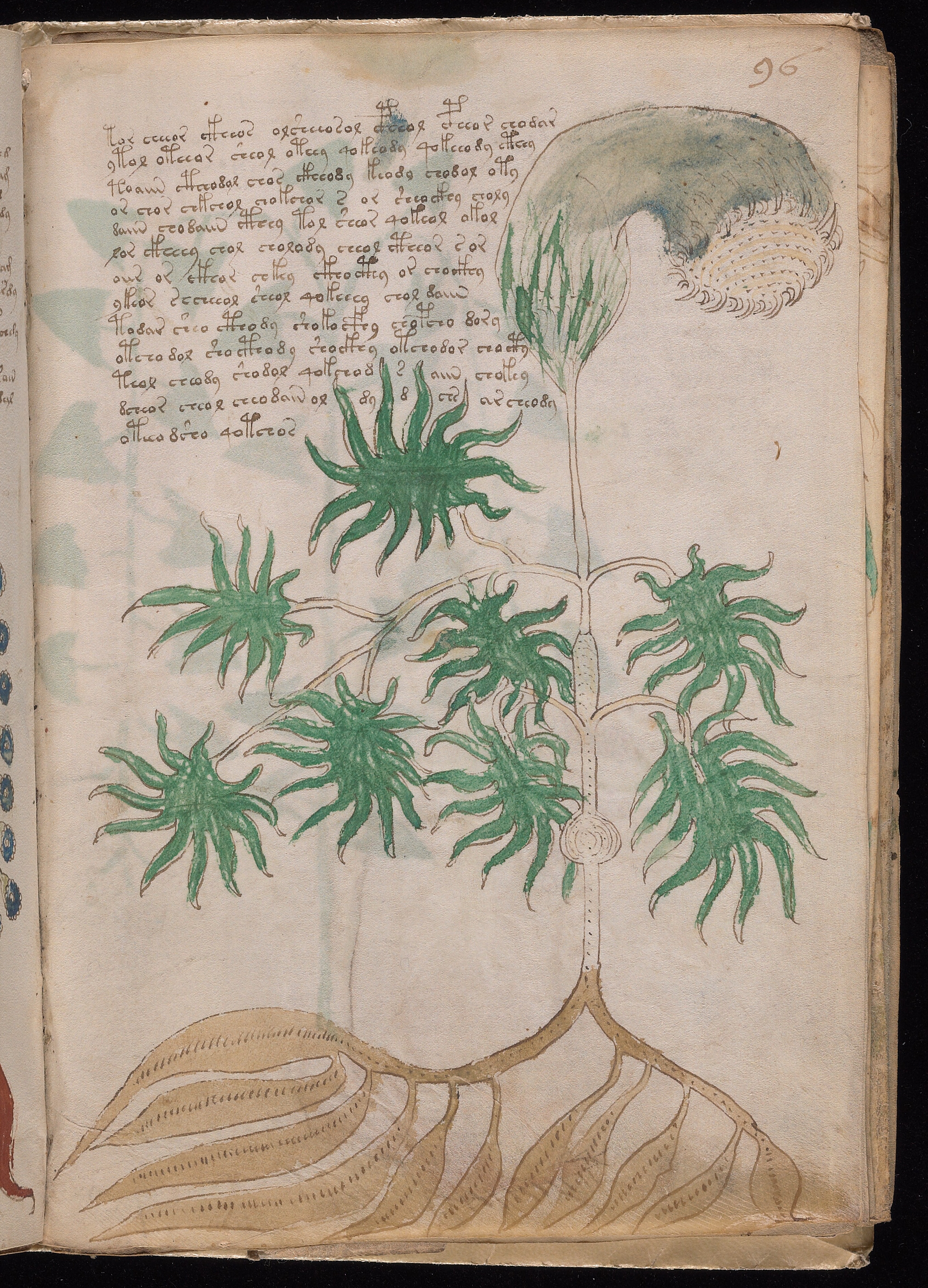 Folio f96r