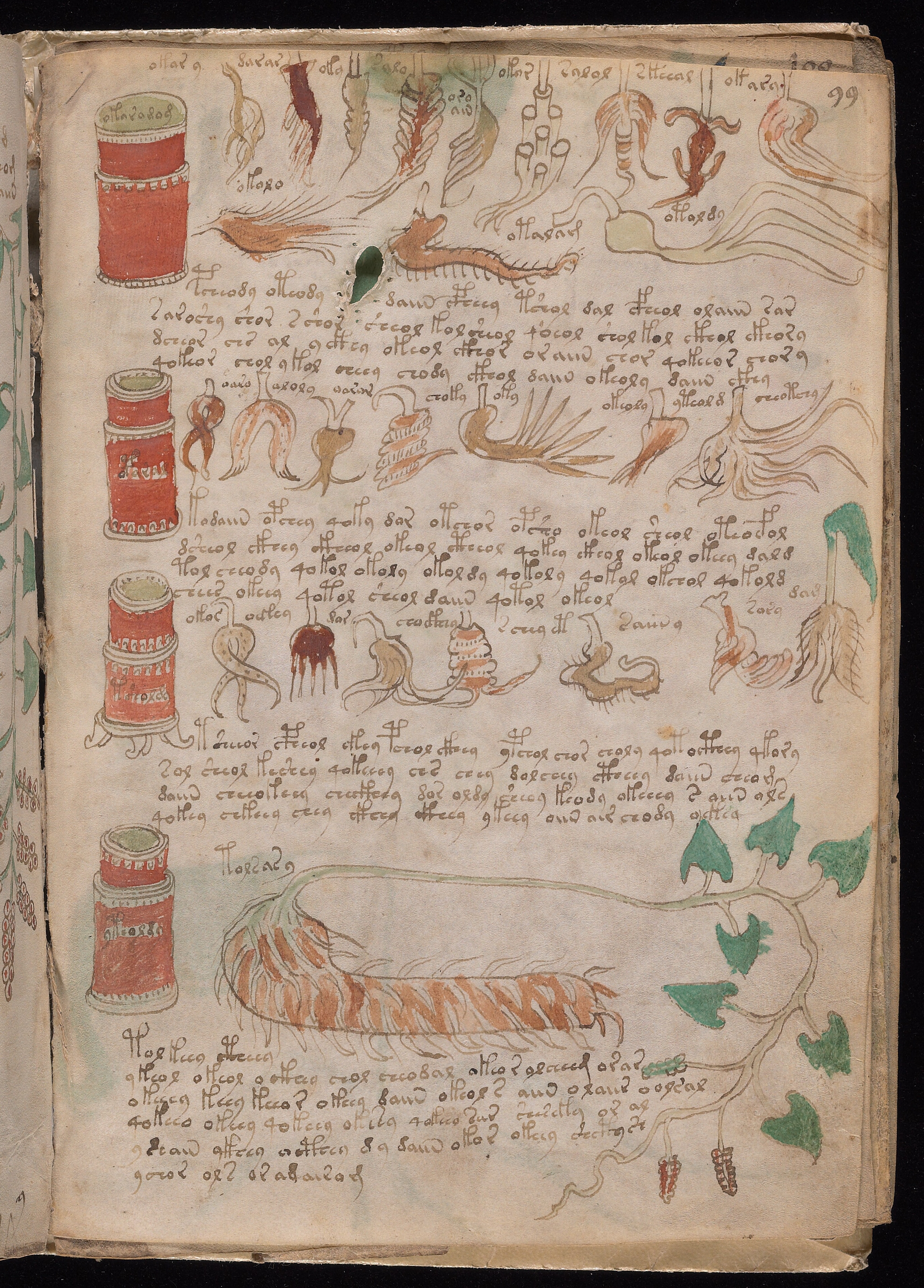 Folio f99r