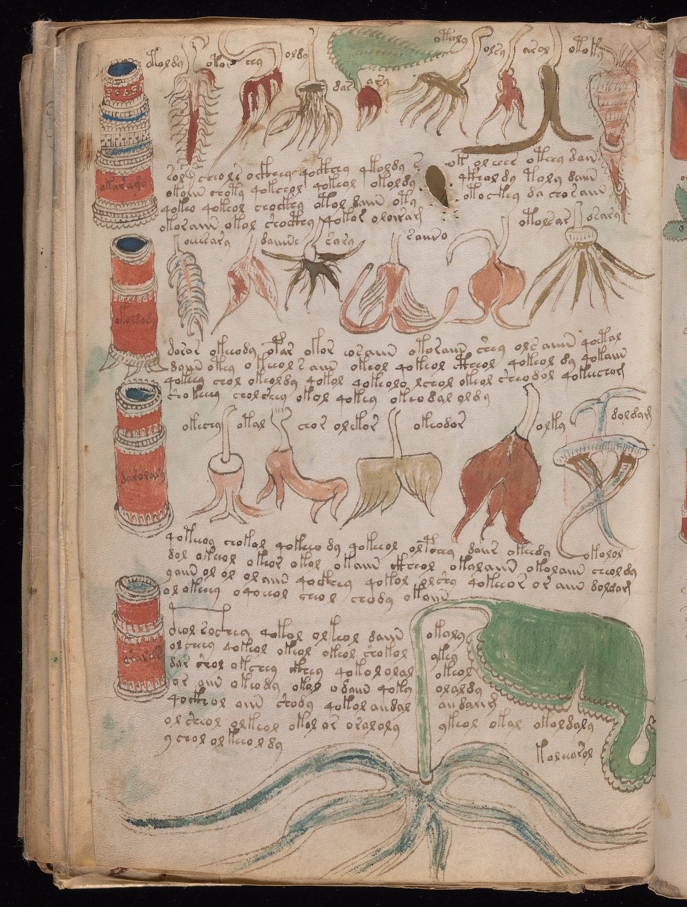 Folio f99v
