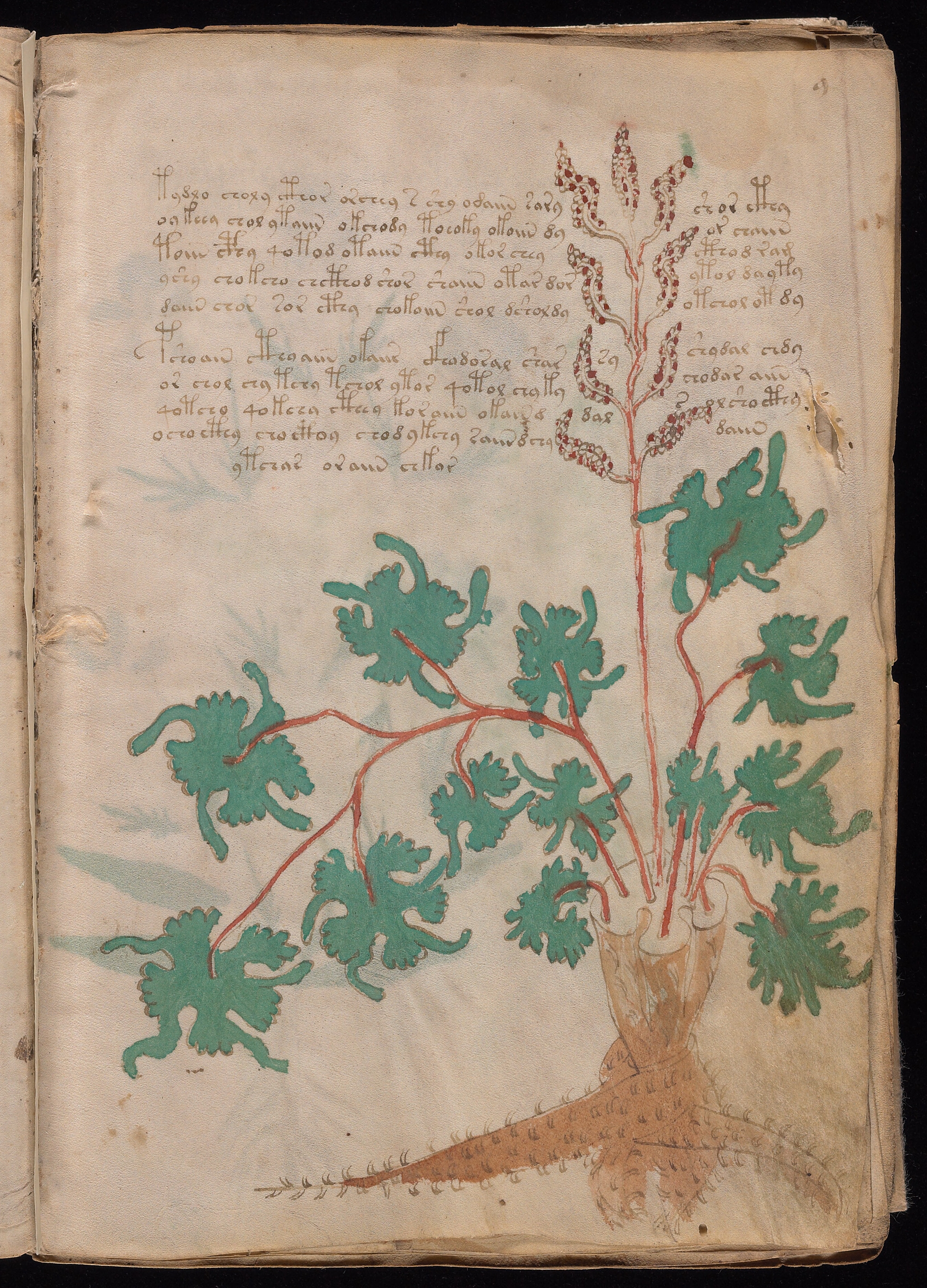 Folio f9r